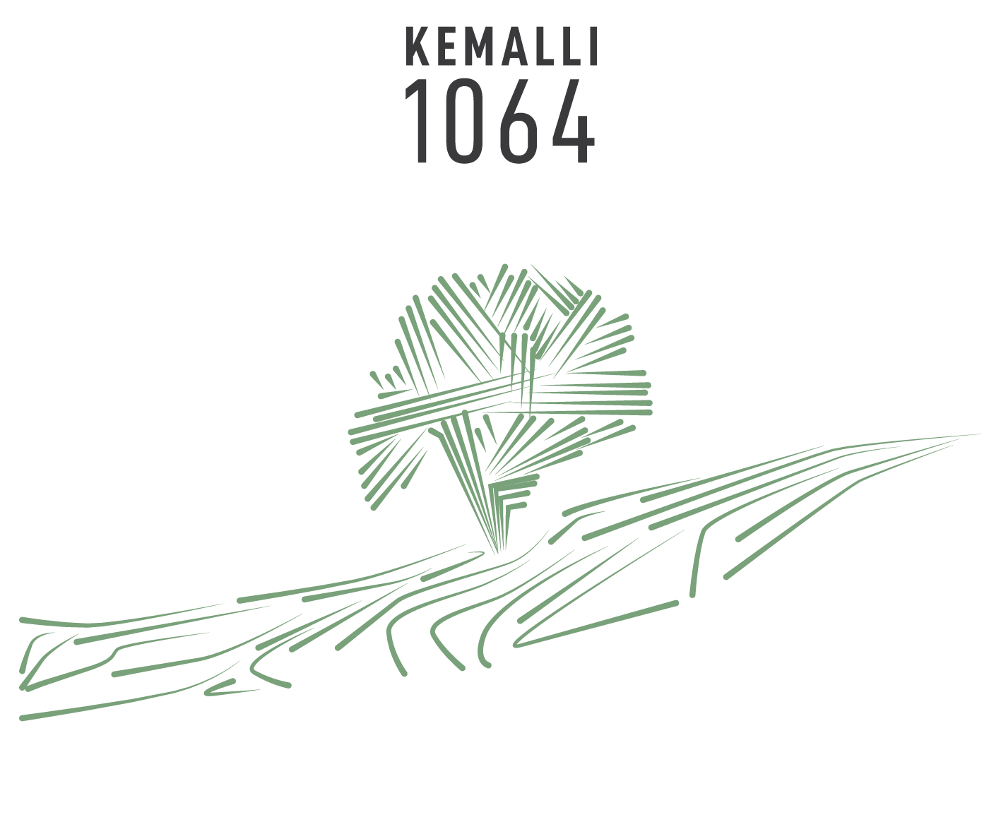 Kemallı 1064 - Erken Hasat Sıkma Zeytinyağı