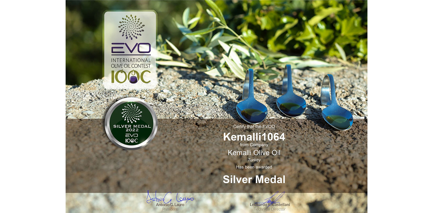 Silver medal 2022